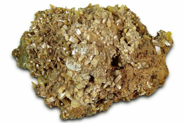 Wulfenite & Green Botryoidal Mimetite Association - Mexico #327470